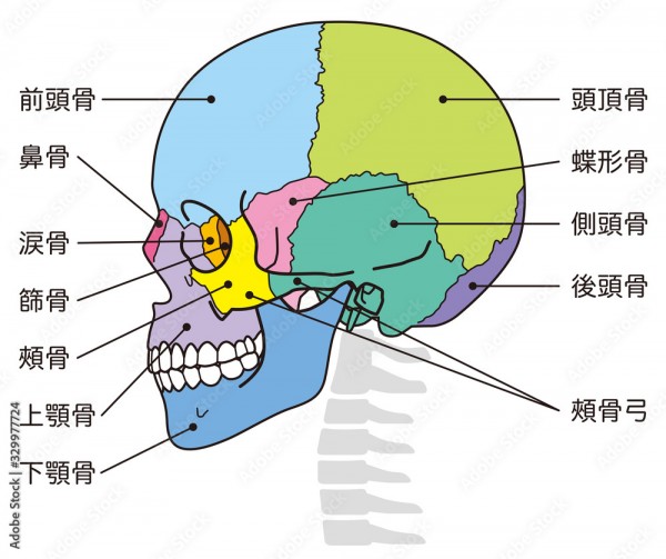 顔の歪みチェック